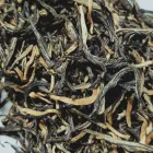 信阳红茶