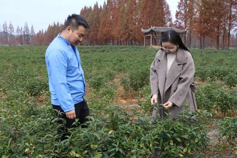 郑云芳:只为乡亲好卖茶 brand_alt_mark