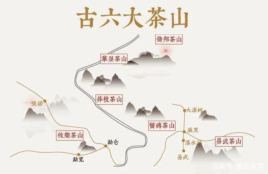 选购普洱茶，渠道很重要！新手应选什么渠道？老茶客这样说