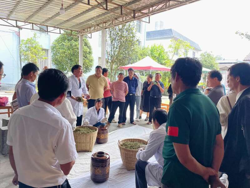 聚力打好“四张牌” 推动茶叶产业提质增效 brand_alt_mark