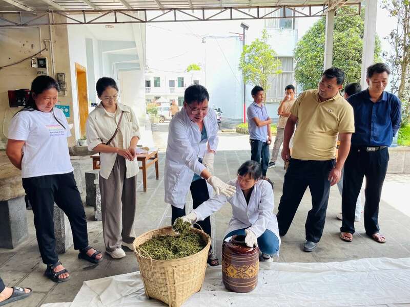 聚力打好“四张牌” 推动茶叶产业提质增效 brand_alt_mark
