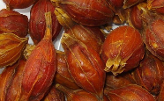 栀子茶.png 栀子茶.png
