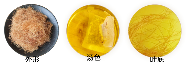 玉米须茶外形特征.png 玉米须茶外形特征.png