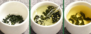 蒲公英茶品茗指南.png 蒲公英茶品茗指南.png