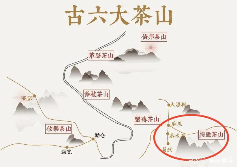 2003易昌号六大茶山慢撒珍品品鉴:纯料野茶厚实回甘 2003易昌号六大茶山慢撒珍品品鉴:纯料野茶厚实回甘