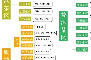 普洱茶风味密码:地理与成分的科学解读 普洱茶风味密码:地理与成分的科学解读