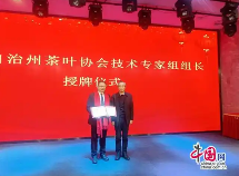 湘西州茶产业高质量发展举措解析 brand_alt_mark