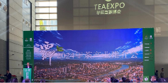 西乡县推动茶产业高质量发展 多元化布局打造五色汉茶新格局 brand_alt_mark