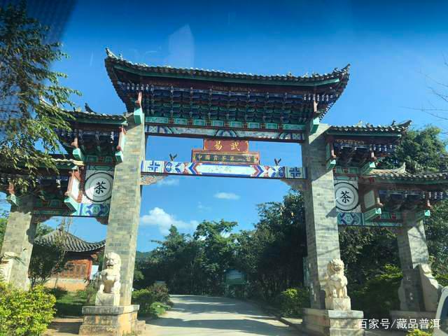易武茶七村八寨品鉴:麻黑、刮风寨与薄荷塘口感解析 易武茶七村八寨品鉴:麻黑、刮风寨与薄荷塘口感解析