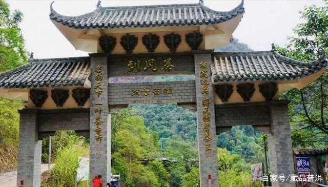 易武茶七村八寨品鉴:麻黑、刮风寨与薄荷塘口感解析 易武茶七村八寨品鉴:麻黑、刮风寨与薄荷塘口感解析