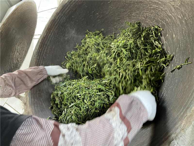 一韵越千年,揭秘古茶树的价值及存在意义 brand_alt_mark