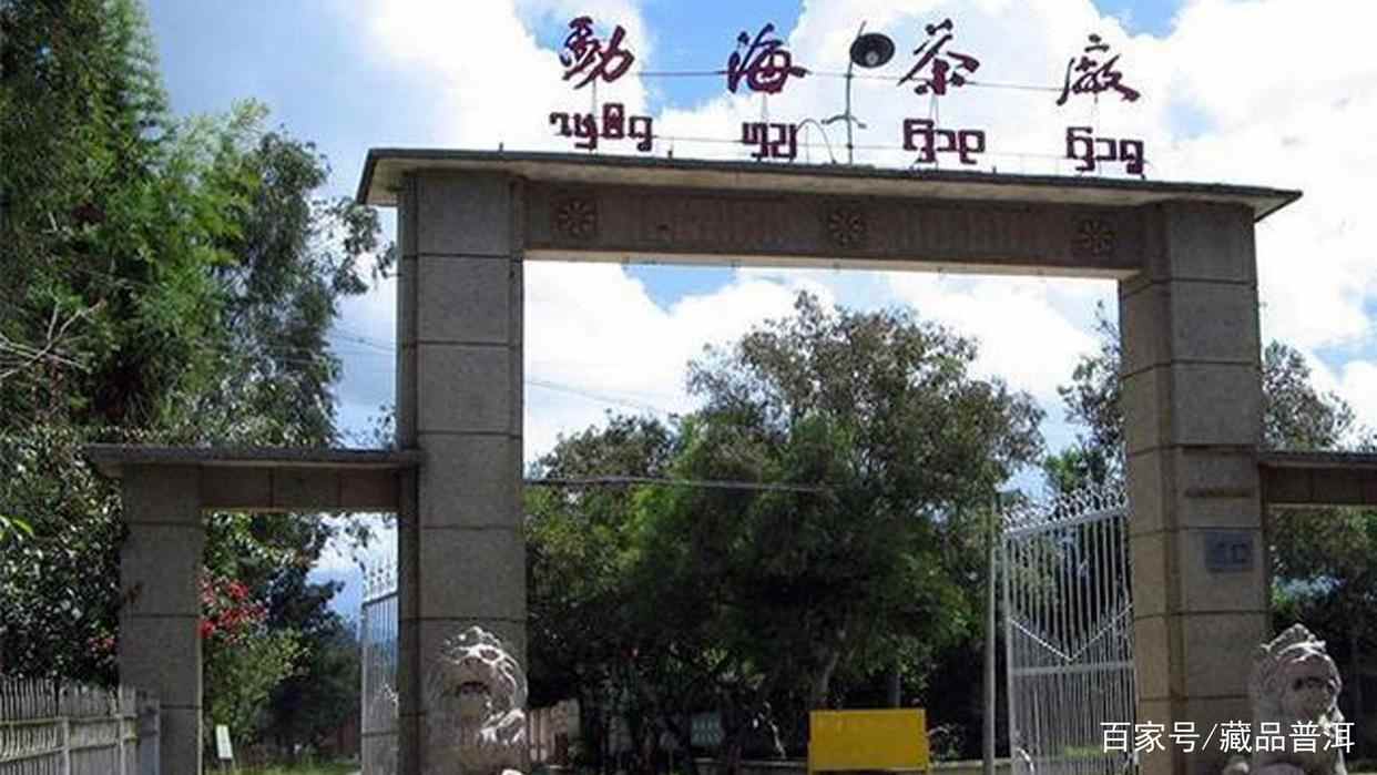 兴海茶厂经典班章茶系列:06野生班章王,一定要试试的中期班章茶 兴海茶厂经典班章茶系列:06野生班章王,一定要试试的中期班章茶