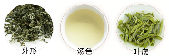 青城雪芽外观特点.png