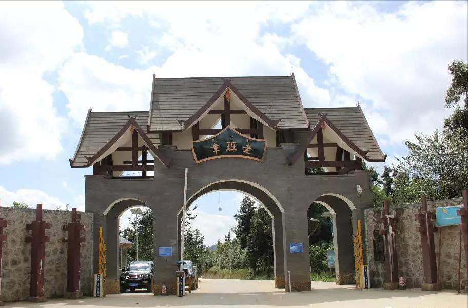 2000-2004年班章大白菜:普洱茶界的耀眼名片,长居霸主 2000-2004年班章大白菜:普洱茶界的耀眼名片,长居霸主