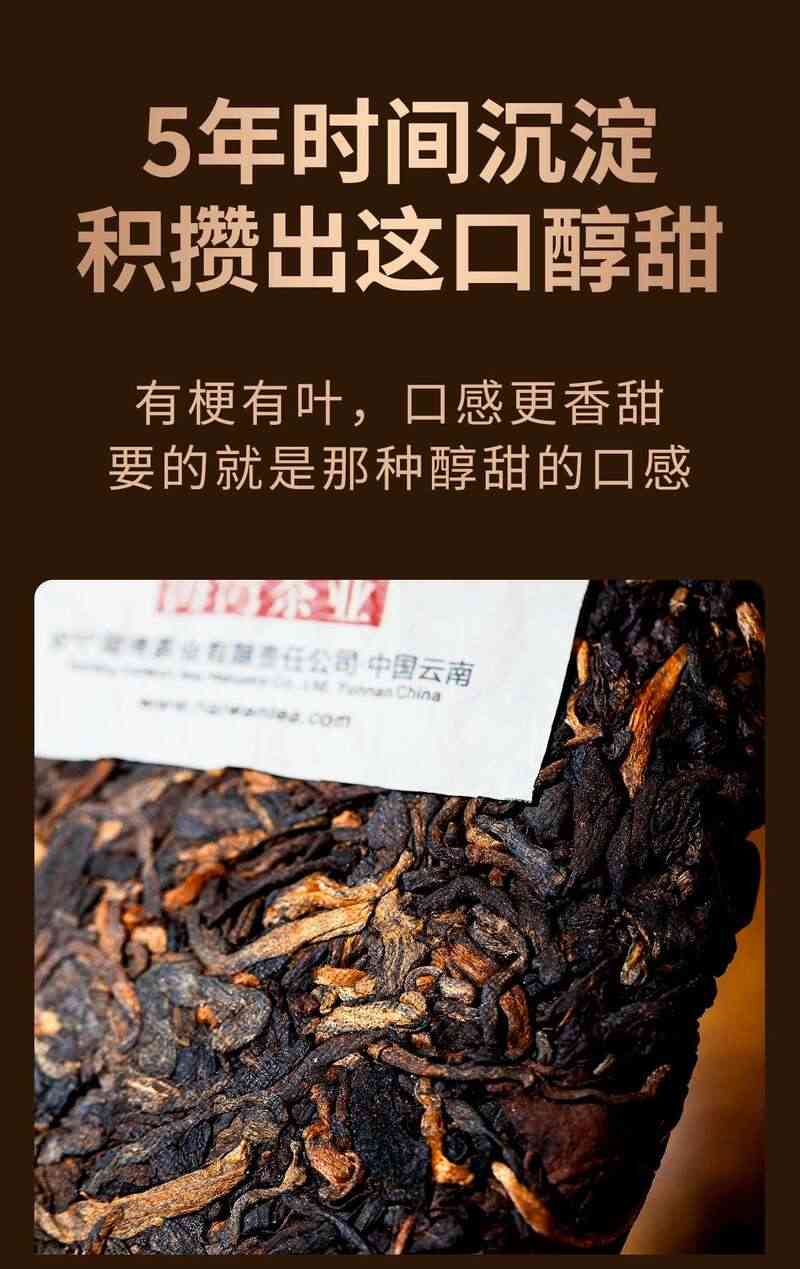 品牌热销熟茶,11年口碑好茶——普洱醇,正式上线! brand_alt_mark
