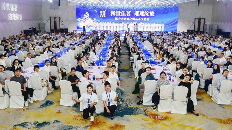 陈升茶业2024:传承创新铸就辉煌之路 brand_alt_mark