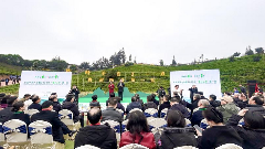 中茶协应邀出席2025年“贵州绿茶”第一采暨普安早茶全国产销大会 brand_alt_mark