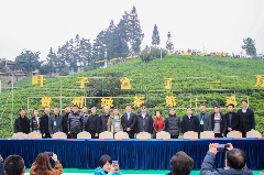 中茶协应邀出席2025年“贵州绿茶”第一采暨普安早茶全国产销大会 brand_alt_mark
