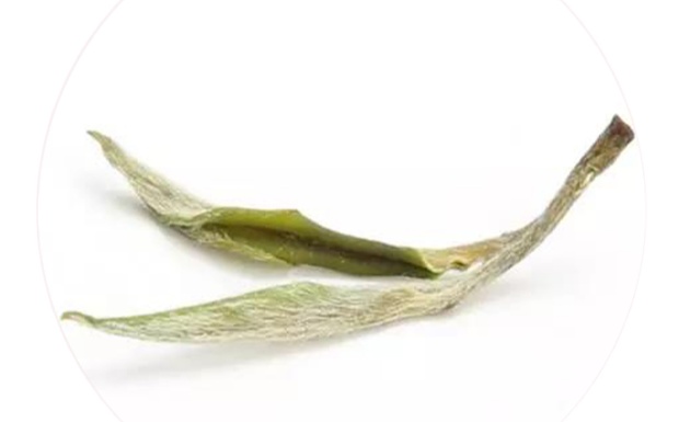 兰溪毛峰茶.jpg