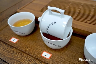 06年勐库母树茶春母,早年冰岛料压制,到底好不好?开汤审评来了 06年勐库母树茶春母,早年冰岛料压制,到底好不好?开汤审评来了