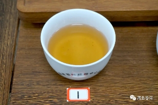 06年勐库母树茶春母,早年冰岛料压制,到底好不好?开汤审评来了 06年勐库母树茶春母,早年冰岛料压制,到底好不好?开汤审评来了