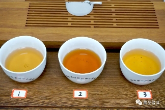 06年勐库母树茶春母,早年冰岛料压制,到底好不好?开汤审评来了 06年勐库母树茶春母,早年冰岛料压制,到底好不好?开汤审评来了
