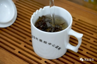 06年勐库母树茶春母,早年冰岛料压制,到底好不好?开汤审评来了 06年勐库母树茶春母,早年冰岛料压制,到底好不好?开汤审评来了