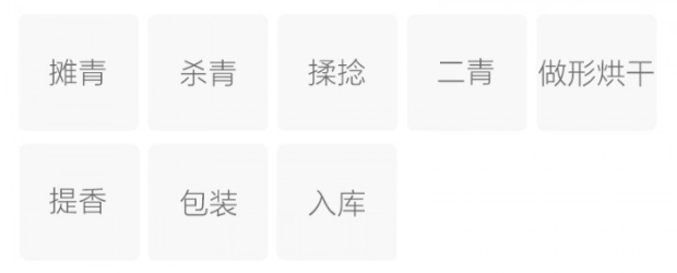崂山绿茶的制作工艺.jpg