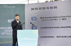《2024年全国茶叶区域公用品牌影响力指数报告》发布 brand_alt_mark