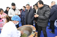 《2024年全国茶叶区域公用品牌影响力指数报告》发布 brand_alt_mark