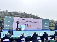 《2024年全国茶叶区域公用品牌影响力指数报告》发布 brand_alt_mark
