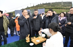 《2024年全国茶叶区域公用品牌影响力指数报告》发布 brand_alt_mark