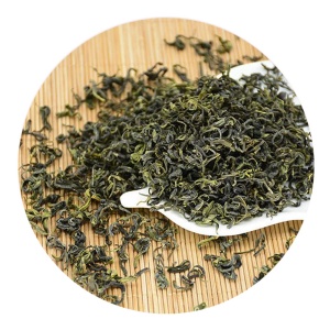 诸城绿茶的外形.jpg