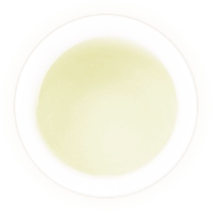 诸城绿茶的汤色.jpg