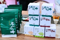 新岁交替共赴 “星河之约”,理真茶韵绘制文旅华章 brand_alt_mark