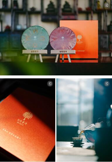 2025灵蛇献瑞 ,柏联新年礼遇 brand_alt_mark