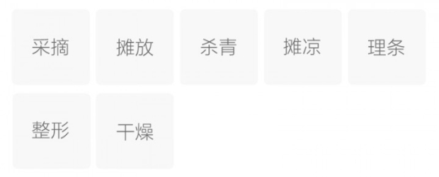 金坛雀舌的制作工艺.jpg