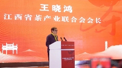 推动安徽茶产业高质量发展!这场大会诠释祁门红茶精彩 brand_alt_mark