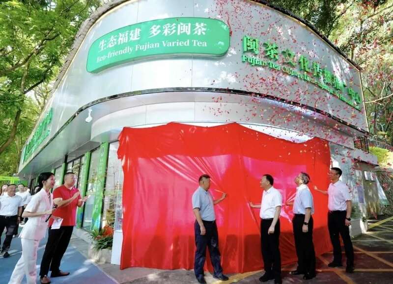 2024茶文化的闪耀瞬间! brand_alt_mark