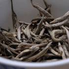 广东大叶青制作工艺与独特香气解析 广东大叶青制作工艺与独特香气解析