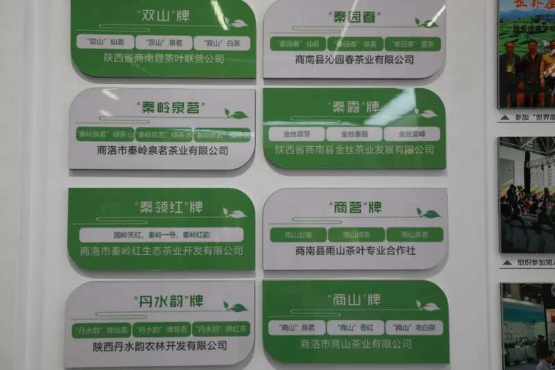 科技创新赋能茶产业,打造新质生产力 brand_alt_mark