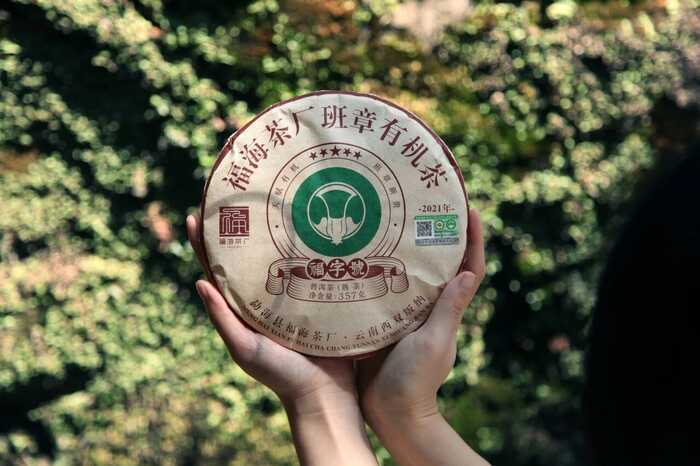 解码熟普香气图鉴 读懂经典【陈香】 解码熟普香气图鉴 读懂经典【陈香】