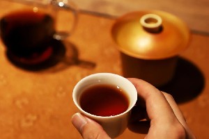 解码熟普香气图鉴 读懂经典【陈香】 解码熟普香气图鉴 读懂经典【陈香】