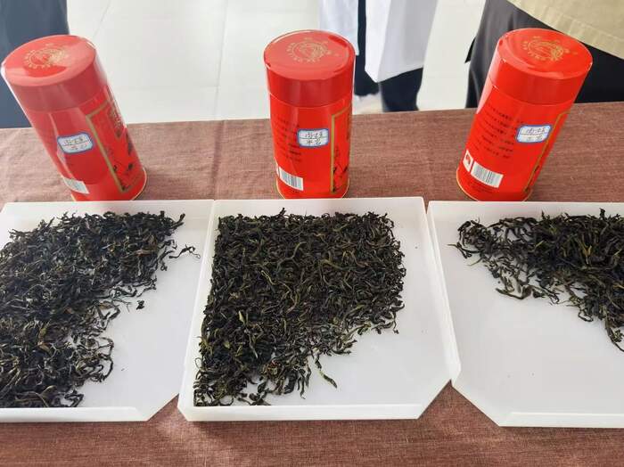 揭秘武夷岩茶独特的“上市时差”与“岩韵”密码 揭秘武夷岩茶独特的“上市时差”与“岩韵”密码