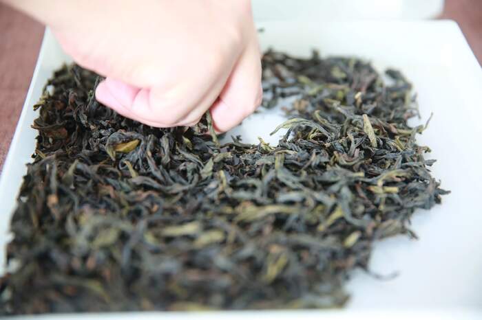 揭秘武夷岩茶独特的“上市时差”与“岩韵”密码 揭秘武夷岩茶独特的“上市时差”与“岩韵”密码