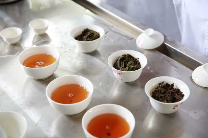 揭秘武夷岩茶独特的“上市时差”与“岩韵”密码 揭秘武夷岩茶独特的“上市时差”与“岩韵”密码