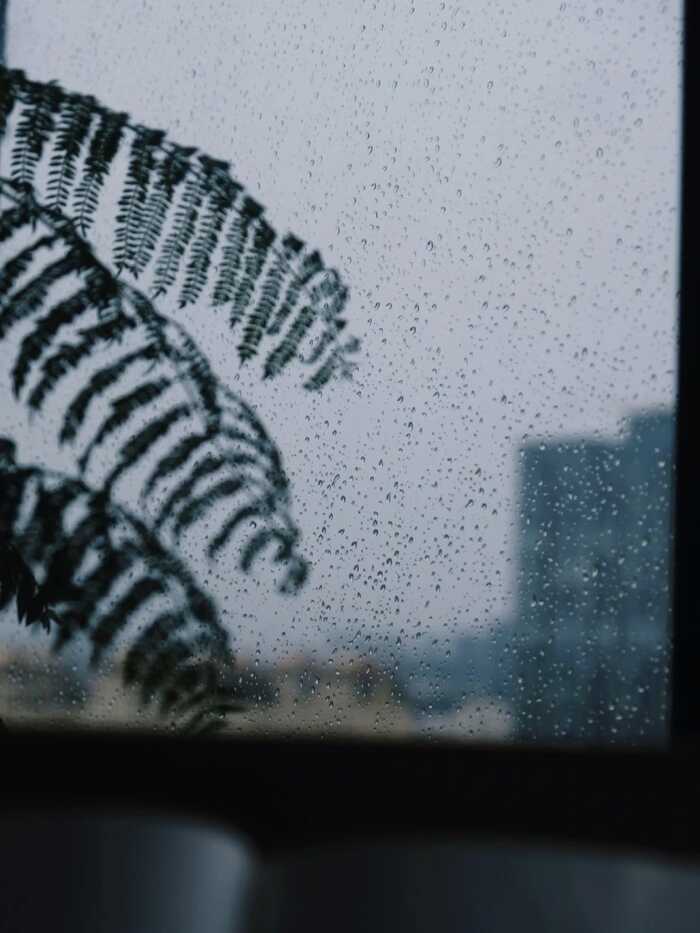 雨天泡茶总欠点滋味?几招让你轻松拿捏! 雨天泡茶总欠点滋味?几招让你轻松拿捏!