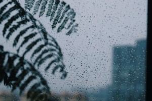 雨天泡茶总欠点滋味?几招让你轻松拿捏! 雨天泡茶总欠点滋味?几招让你轻松拿捏!