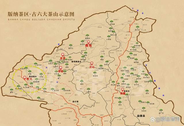 昌泰2004年陈弘昌攸乐极品老生茶品鉴与陈化解析 昌泰2004年陈弘昌攸乐极品老生茶品鉴与陈化解析