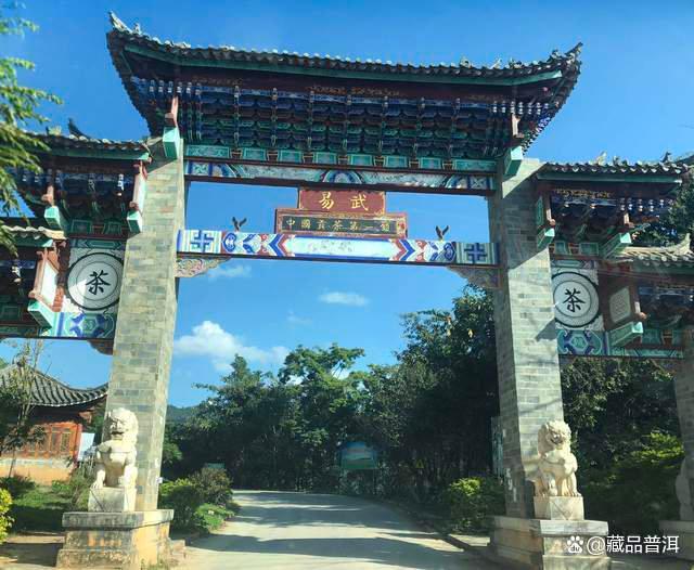 易武顺时兴普洱茶的历史与品质解析